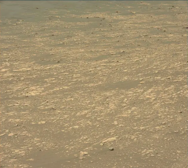 Sol 2364: Mast Camera (Mastcam)