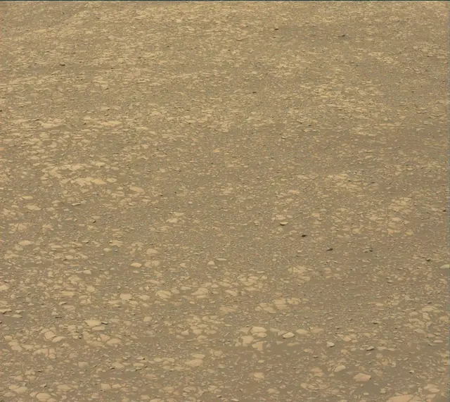Sol 2364: Mast Camera (Mastcam)