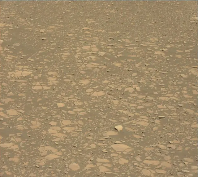 Sol 2364: Mast Camera (Mastcam)