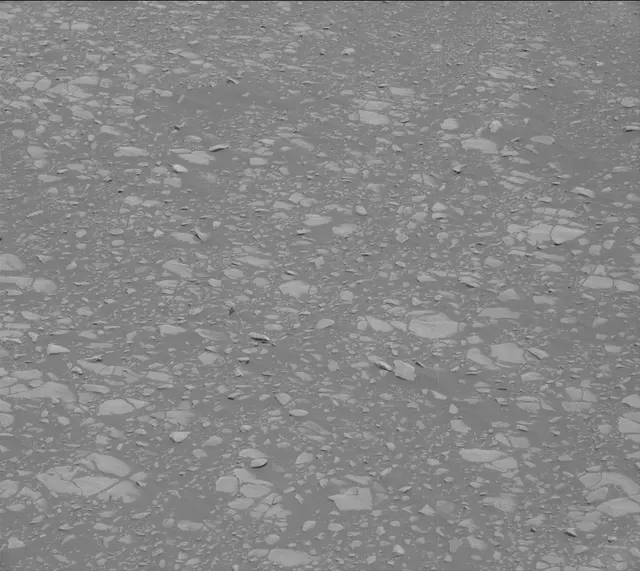 Sol 2364: Mast Camera (Mastcam)