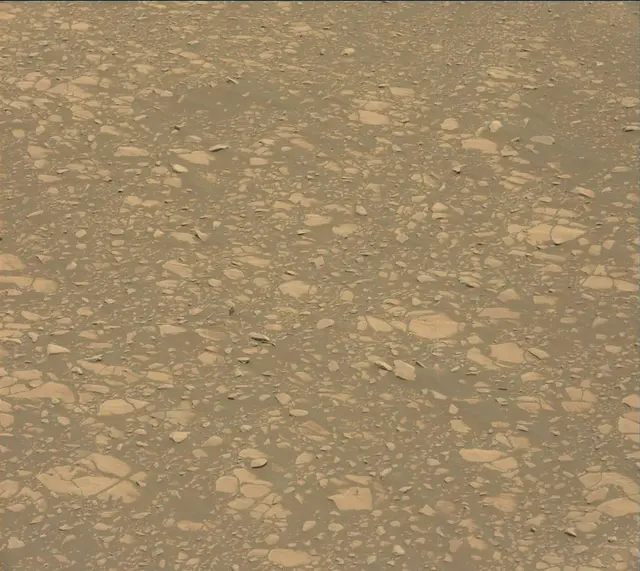 Sol 2364: Mast Camera (Mastcam)
