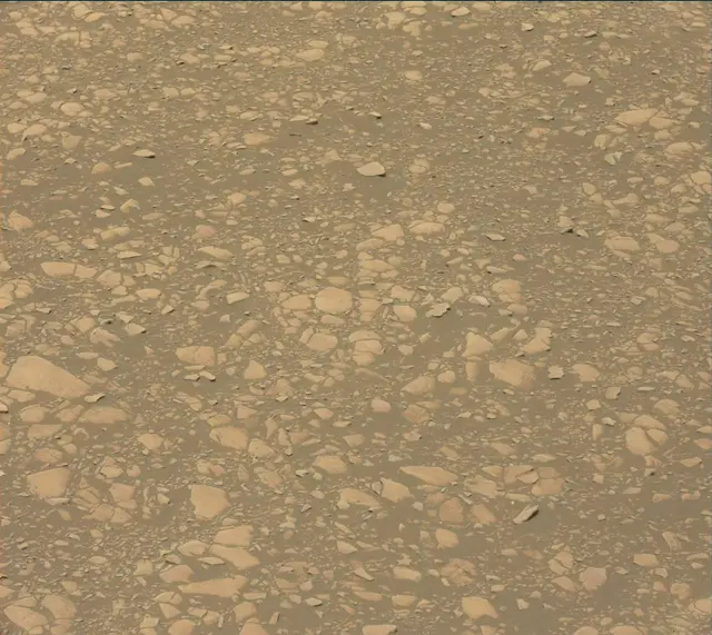 Sol 2364: Mast Camera (Mastcam)