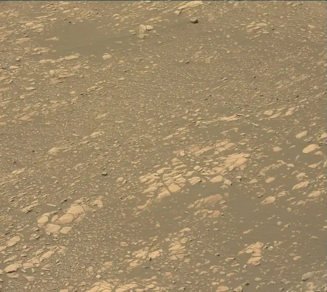 Sol 2364: Mast Camera (Mastcam)