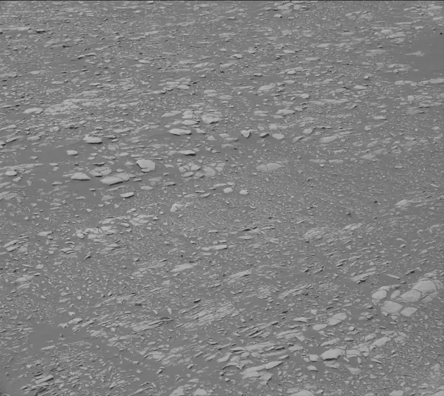 Sol 2364: Mast Camera (Mastcam)