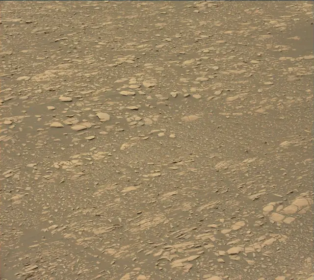 Sol 2364: Mast Camera (Mastcam)
