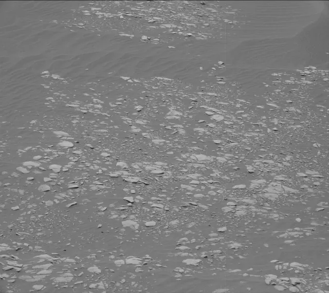 Sol 2364: Mast Camera (Mastcam)