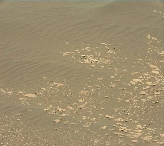 Sol 2364: Mast Camera (Mastcam)