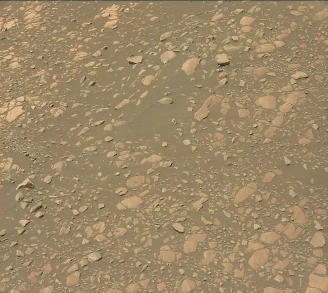 Sol 2364: Mast Camera (Mastcam)