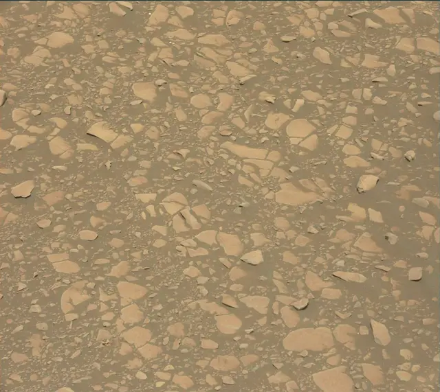 Sol 2364: Mast Camera (Mastcam)