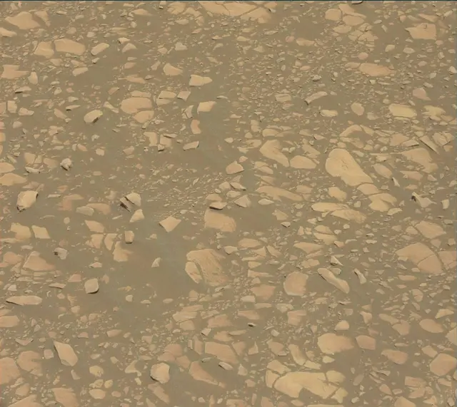 Sol 2364: Mast Camera (Mastcam)