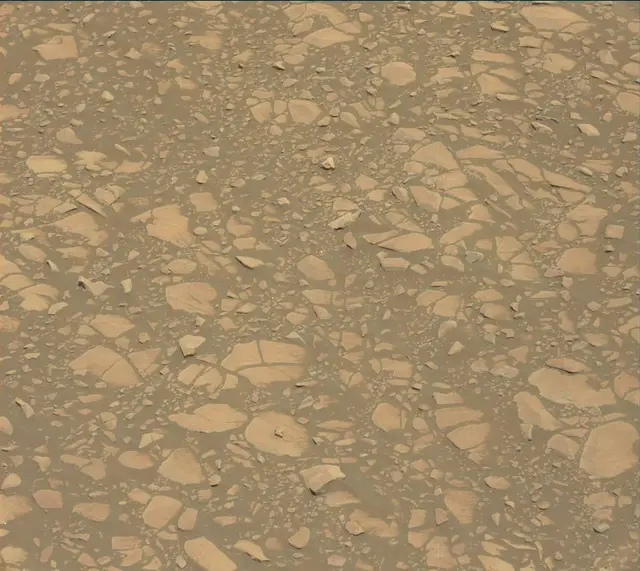 Sol 2364: Mast Camera (Mastcam)