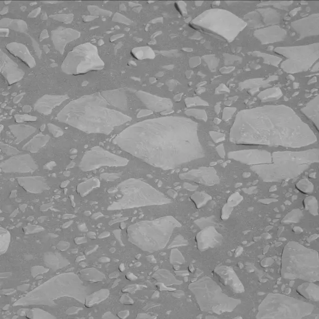 Sol 2365: Mast Camera (Mastcam)