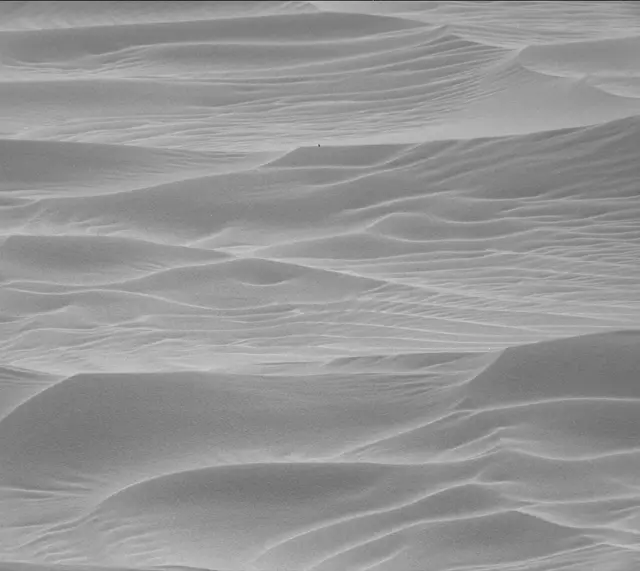Sol 2389: Mast Camera (Mastcam)