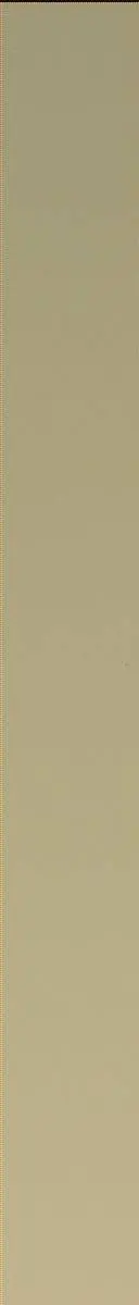 Sol 2408: Mast Camera (Mastcam)