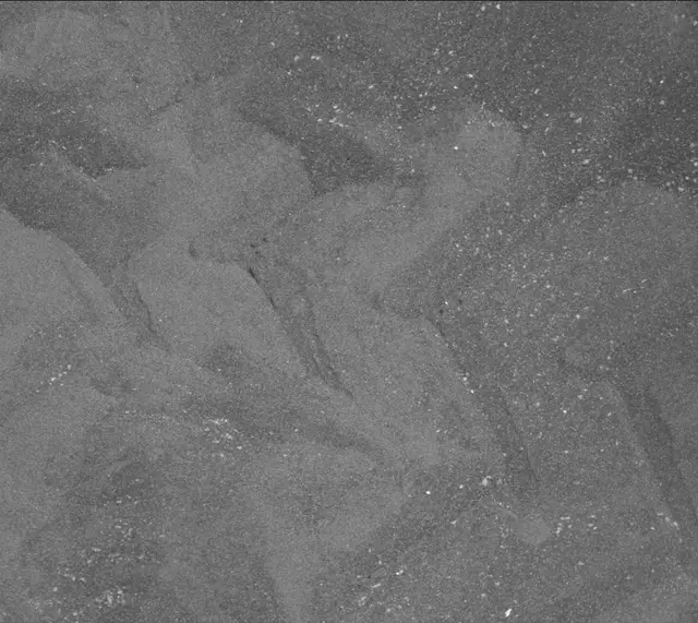 Sol 2409: Mast Camera (Mastcam)