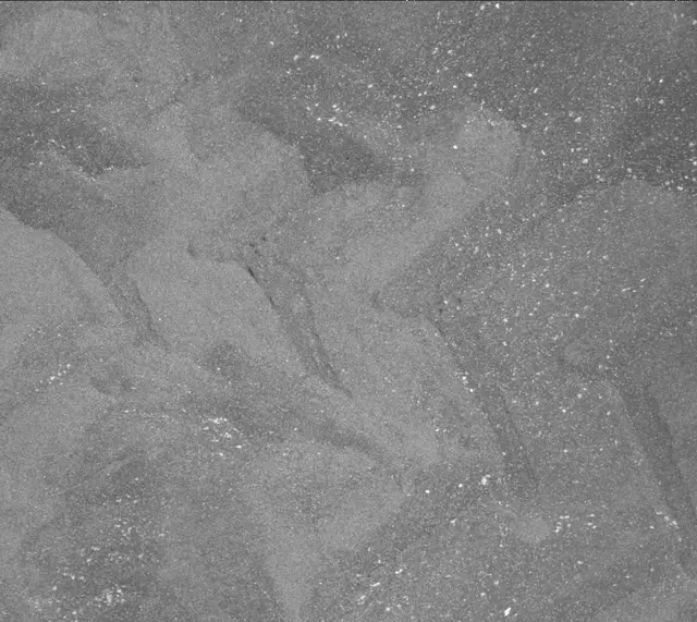 Sol 2409: Mast Camera (Mastcam)
