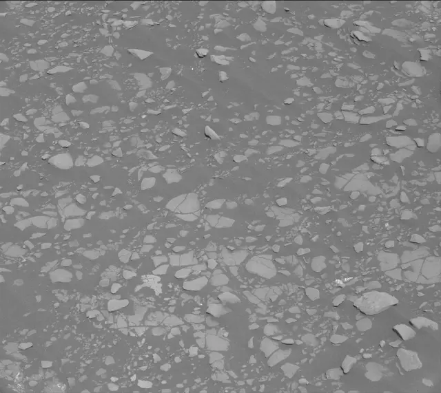 Sol 2412: Mast Camera (Mastcam)
