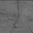 Sol 2416: Mast Camera (Mastcam)