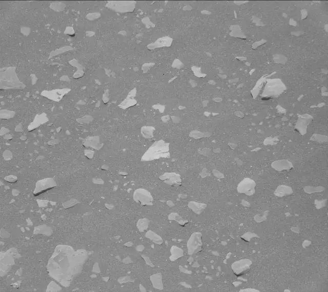 Sol 2419: Mast Camera (Mastcam)