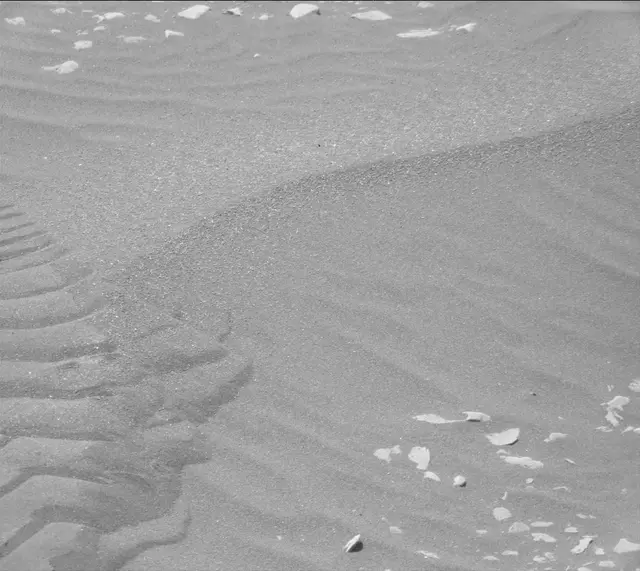 Sol 2419: Mast Camera (Mastcam)
