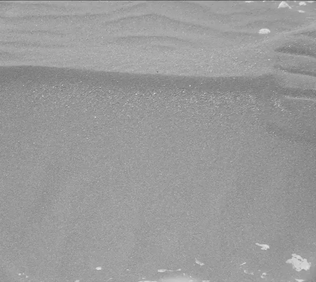 Sol 2419: Mast Camera (Mastcam)