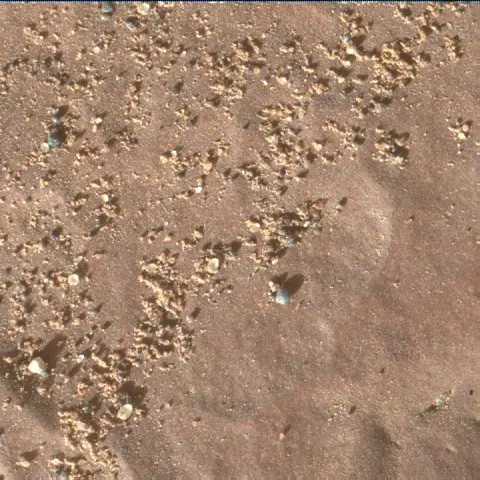 Sol 2419: Mars Hand Lens Imager (MAHLI)