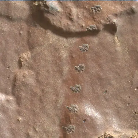 Sol 2419: Mars Hand Lens Imager (MAHLI)