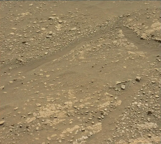 Sol 2420: Mast Camera (Mastcam)