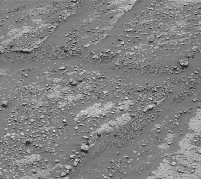 Sol 2420: Mast Camera (Mastcam)