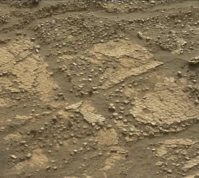 Sol 2422: Mast Camera (Mastcam)