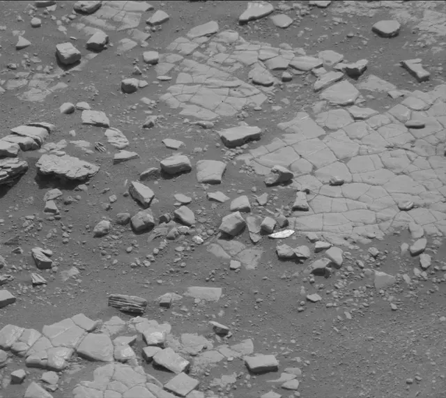 Sol 2424: Mast Camera (Mastcam)