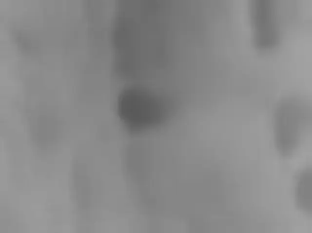 Sol 2427: Mars Hand Lens Imager (MAHLI)