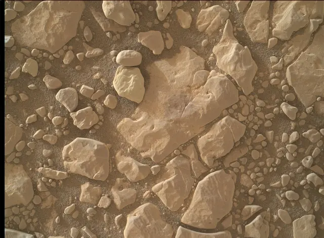 Sol 2431: Mars Hand Lens Imager (MAHLI)