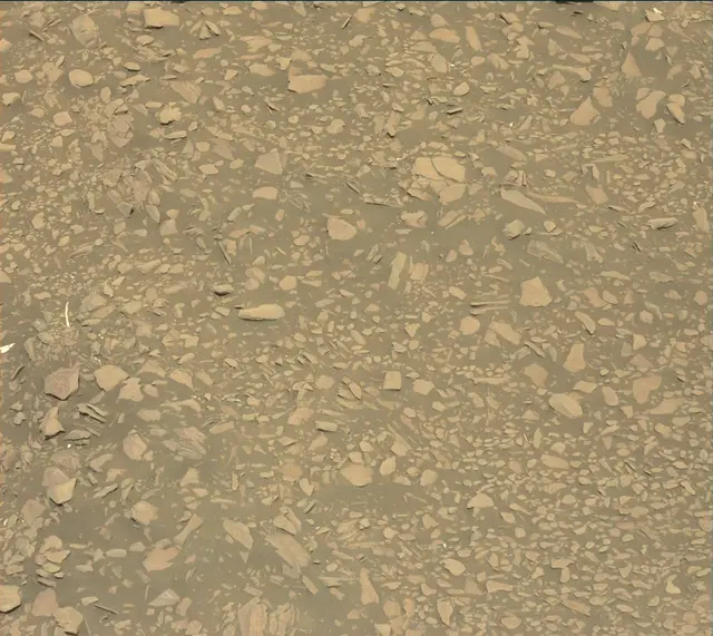 Sol 2432: Mast Camera (Mastcam)