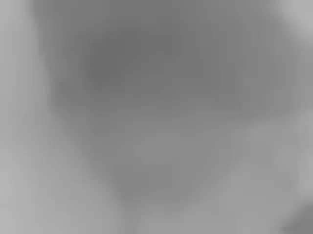Sol 2432: Mars Hand Lens Imager (MAHLI)
