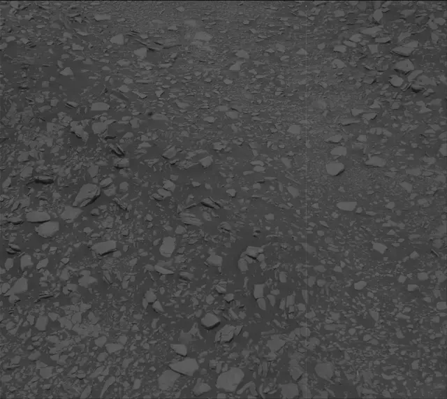 Sol 2433: Mast Camera (Mastcam)