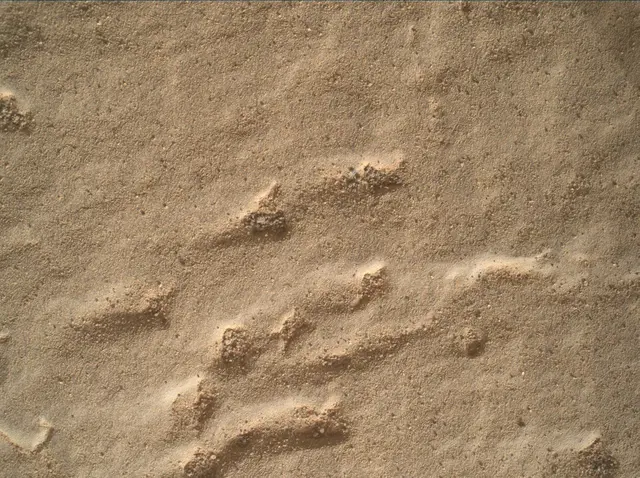 Sol 2437: Mars Hand Lens Imager (MAHLI)