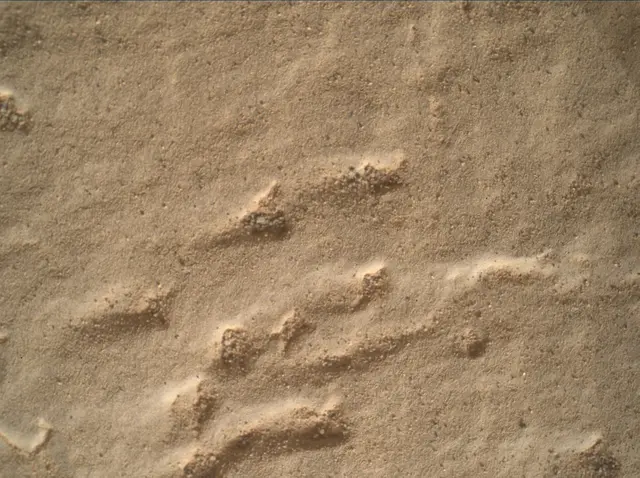 Sol 2437: Mars Hand Lens Imager (MAHLI)