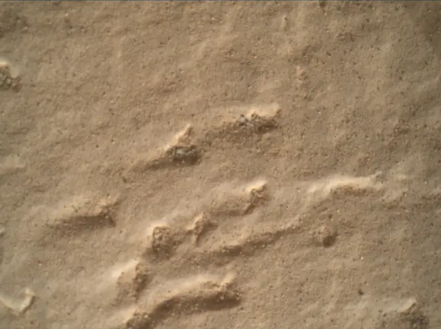 Sol 2437: Mars Hand Lens Imager (MAHLI)