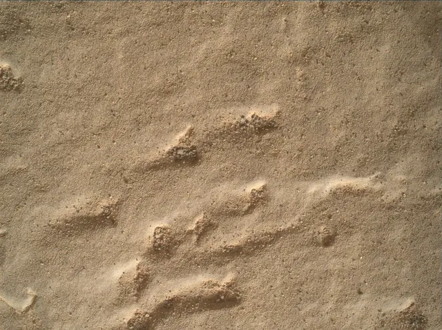 Sol 2439: Mars Hand Lens Imager (MAHLI)
