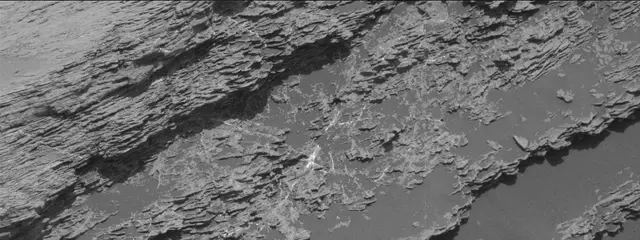 Sol 2441: Mast Camera (Mastcam)