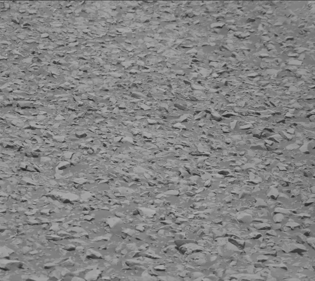 Sol 2443: Mast Camera (Mastcam)