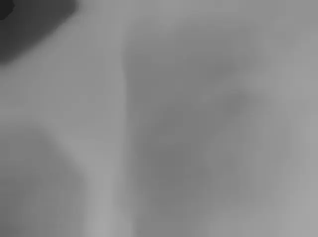 Sol 2448: Mars Hand Lens Imager (MAHLI)