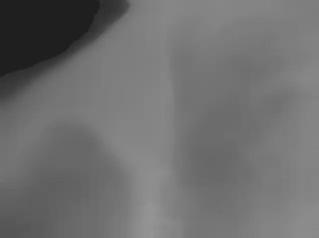 Sol 2448: Mars Hand Lens Imager (MAHLI)