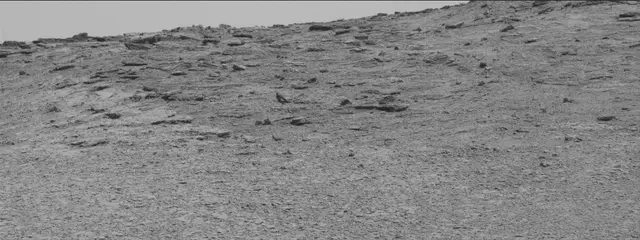 Sol 2449: Mast Camera (Mastcam)