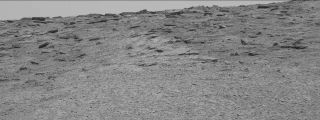 Sol 2449: Mast Camera (Mastcam)