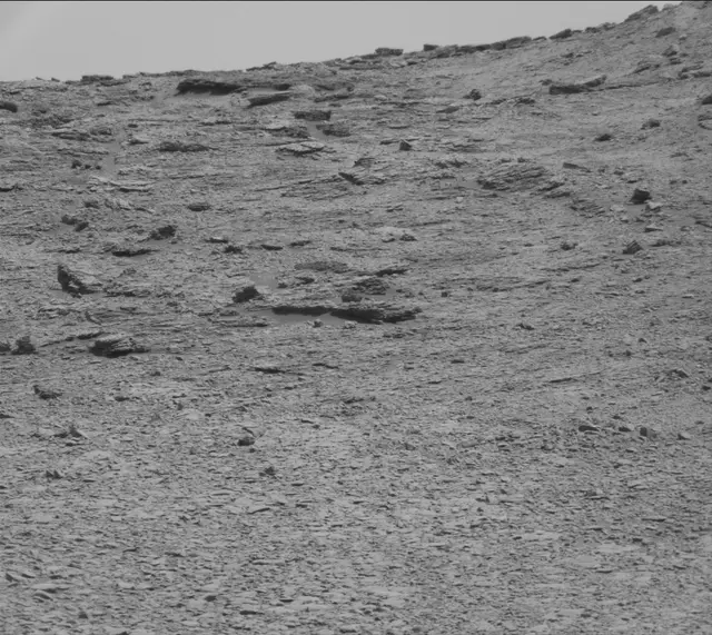 Sol 2449: Mast Camera (Mastcam)