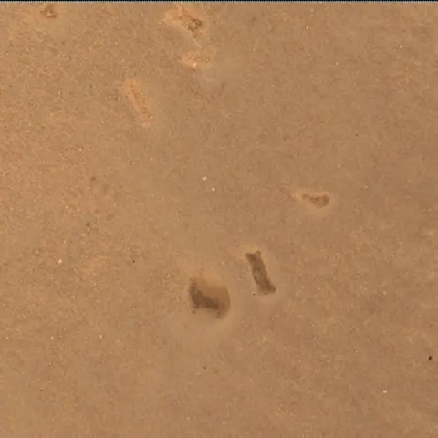 Sol 2449: Mars Hand Lens Imager (MAHLI)