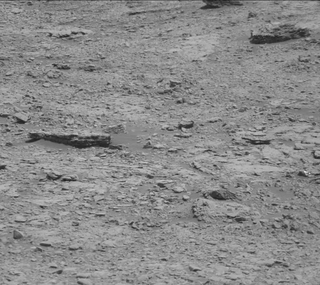 Sol 2450: Mast Camera (Mastcam)
