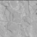Sol 2454: Mast Camera (Mastcam)